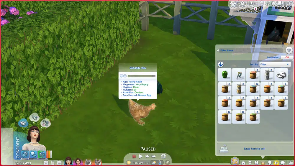 The Sims 4 Cottage Living animal UI showing a Golden Hen’s relationship, age, happiness, hygiene, hunger and attention